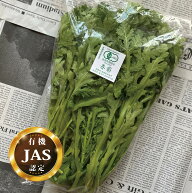 有機JAS認定 春菊 1パック【菊菜 キクナ 国産 島根県産 有機栽培 生 オーガニック 安心 安全 サラダ】
