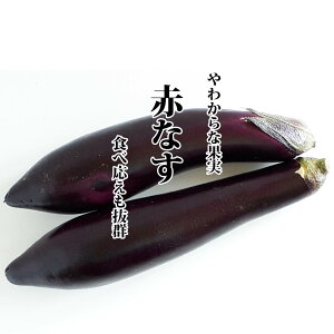 F{Y ԉ֎q Ђނ炳 1{yԂȂ ԃiX qSTL  Piz