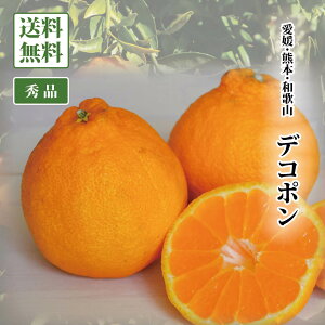 yzfR| 1P[Xi9ʁjyϔ Mtg łۂ Gi sm ʂ a̎REQEȂ ݂  ʕ Jt[c  yY yY 蕨 v[g 