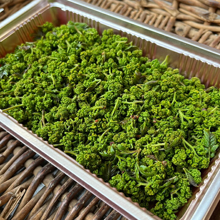 楽天市場】【残り数日で入荷終了！終盤は徐々に黄色がかってきますので 