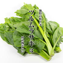 楽天市場】つるむらさき（食品）の通販