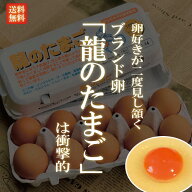 国産ブランド鶏卵 「龍のたまご」 10〜120個 大分県産 （10個入り×2〜12パック ）【送料無料 赤玉 赤卵 …