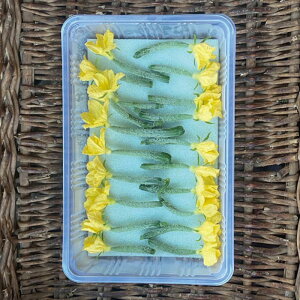 y6ח\zԕtӉZ 1pbNyԕtイ LE炢z