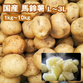 【送料無料】国産 馬鈴薯 L〜3Lサイズ（1kg〜10kg）【じゃがいも ジャガイモ じゃが芋 男爵など 箱売り 常備野菜に まとめ買い 備蓄】