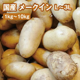 メークイン（L〜3Lサイズ） 約1kg〜10kg【国産 じゃがいも 常備野菜 大サイズ お買い得】