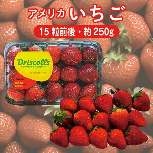 �A�����J�Y ������ 1�p�b�N�i ��250g�E15���O��j�y�������� USA�C�`�S �t���b�V�� �� �X�g���x���[ �P�[�L���z