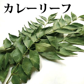 【毎週月曜日入荷のため、木曜日までのご注文で翌月曜日出荷】カレーリーフ 1PAC（10枚入）【料理用 スパイス 香辛料 インド料理 スリランカ料理】