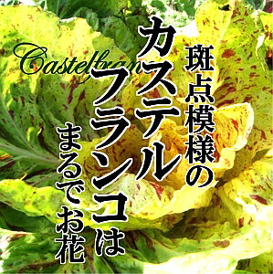 JXetR@1@yC^A////fBbLI/^fB[{/vR[`F/grX/{/b\z