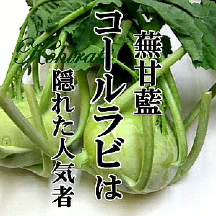 楽天市場 コールラビ 1個 500g前後 野菜 珍しい野菜 イタリア野菜 旬の野菜 ヴィーガン 新鮮野菜 珍しい野菜 野菜 やさい 珍しい 変わった 野菜 おいしい インスタ映え 綺麗 彩 あしらい 飾り アクセント 料理 新鮮野菜とフルーツのお店 旬屋