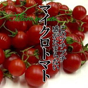 }CNg}g@1PAC(100gO)yg}g//g}g/؁z