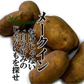 【送料無料】メークイン L〜3Lサイズ 1ケース（10kg）【国内産 日本産 じゃがいも ジャガイモ じゃが芋 箱売り 常備野菜に まとめ買い 備蓄】