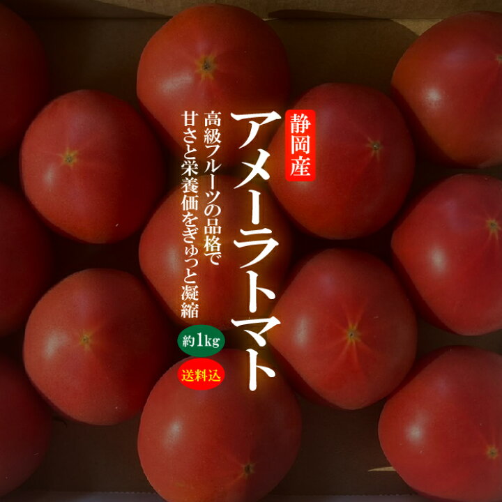 楽天市場】【送料無料】高糖度フルーツトマト アメーラ 【1ケース 