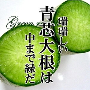 yyV2ʎ܁Izc卪@1{@r^~卪 @T_ @CX^fy Pi  Jt@VN @z