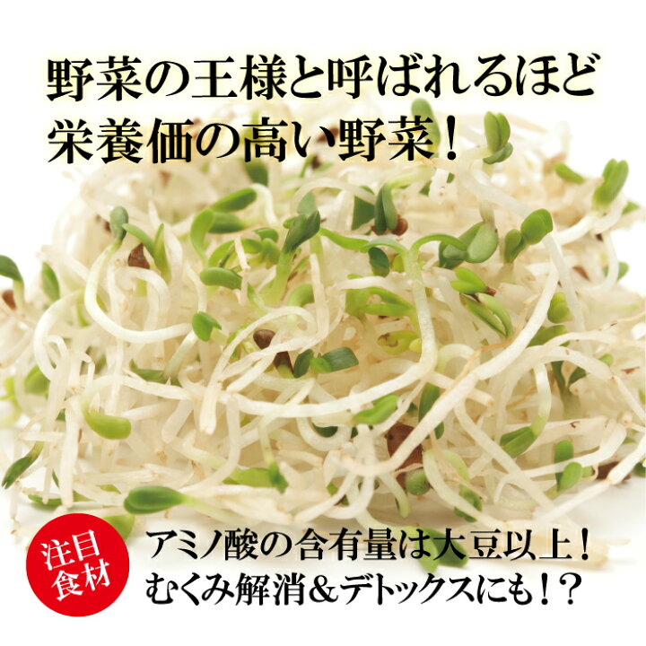 楽天市場 アルファルファ 1パック ムラサキウマコヤシ 糸もやし スプラウト 発芽野菜 ハーブ 新芽 お取り寄せ 新鮮野菜とフルーツのお店 旬屋