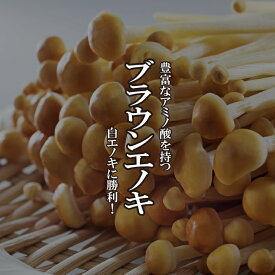 ブラウンエノキ 1パック【茶 エノキ えのき お取り寄せ 単品 野菜 国産 日本産 国内産 新鮮】