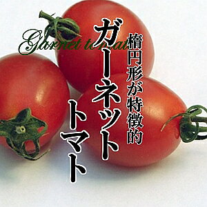 K[lbgg}g 1pbNi200gjy~jg}g Â xz