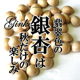 【7月頃から入荷予定】銀杏 1PAC（約300g）L～3L ぎんなん ギンナン