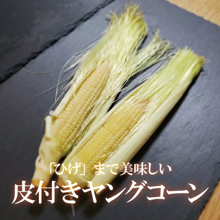 楽天市場 皮付きヤングコーン 1本 皮つきヤングコーン ヤングコーン 甘い お取り寄せ 単品 野菜 国内産 日本産 国産 新鮮 インスタ映え サラダ 新鮮野菜 珍しい野菜 野菜 珍しい 変わった野菜 おいしい インスタ映え 綺麗 彩 あしらい 飾り アクセント 料理 新鮮