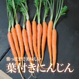 楽天市場 葉 付き 人参の通販