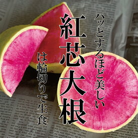 楽天市場 紅芯大根の通販
