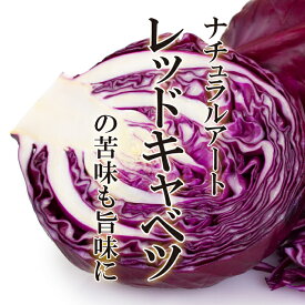 レッドキャベツ 1玉【紫キャベツ きゃべつ お取り寄せ 単品 野菜 美味しい おいしい カラフル インスタ映え】
