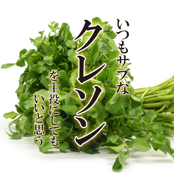 香味野菜 クレソン 1パック 【お取り寄せ 単品 野菜 美味しい おいしい 日本産 国内産 国産 新鮮】