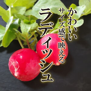 i摜
