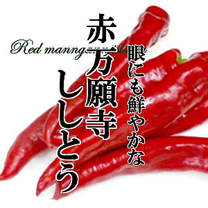 N₩@ق̂ƊÂ݁@Ƃ炵̉l@Ԗ莛Ƃ@200g