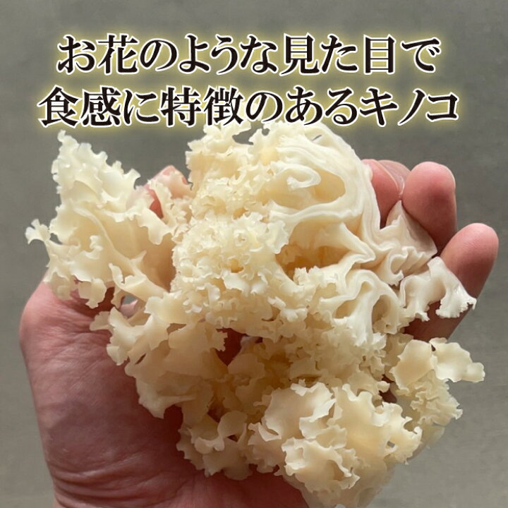 楽天市場 ハナビラタケ １pac １パック 80g ホホホタケ 花びら茸 幻のキノコ はなびらたけ 花びら茸 キノコ 珍しい 珍しきのこ 珍しい野菜 珍味 新鮮野菜とフルーツのお店 旬屋