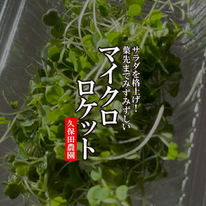 }CNPbg@1PAC yvۓc_@PbgbR XvEg@Y@@炢@n[u@؁@؁z