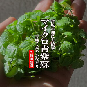 }CN@1PAC yvۓc_@tvEg@Y@@炢@n[u@؁@؁zׂȂA͓אȂꍇ܂B̏ꍇ́A