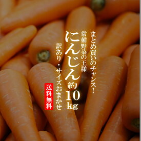 【送料無料】国内産　訳あり人参 10kg 【同梱不可】【まとめ買い 常備野菜 人参 にんじん ニンジン 訳あり サイズおまかせ 野菜 お買い得 国内産限定】