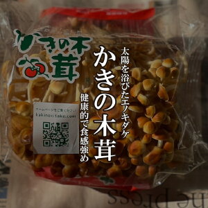 ̂ 1PAC@y JLmL^`̖ؑ̂^؁^LmRz