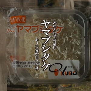 }uV^P 1PAC y}uV^̂^؁^LmR^R^܂Ԃz