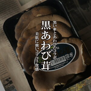 ё 1PAC yNAr^P̂^؁^LmRz