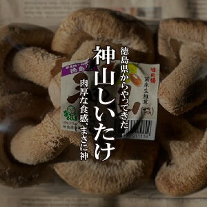 _Rő@1PAC@y_R^̂^؁^LmRz