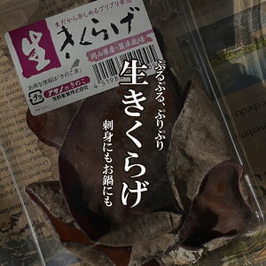 炰@1PAC@yLNQ̂^؁^LmRz