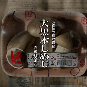 单{߂@1PAC@ŷ^؁^LmRz