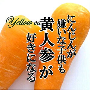 【送料無料】黄人参 1kg 黄色 人参 にんじん ニンジン イエロー 鮮やか めずらしい野菜
