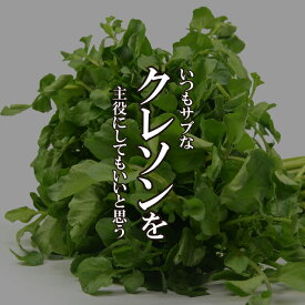 クレソン 1パック（25g前後）【お取り寄せ 単品 野菜 美味しい おいしい 日本産 国内産 国産 新鮮】
