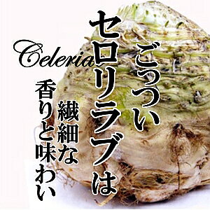 �y���������z�Z�������u�@��1kg�@�y�Z�����A�b�N�@���Z�����@�V�N��؁@��������؁@��؁@�₳���@�������@�ς������؁@���������@�C���X�^�f���@�Y��@�ʁ@�����炢�@����@�A�N�Z