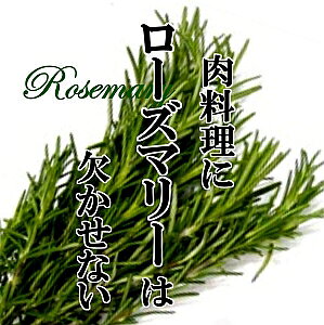 [Y}[ 1PAC n[u ICЂ hbVO