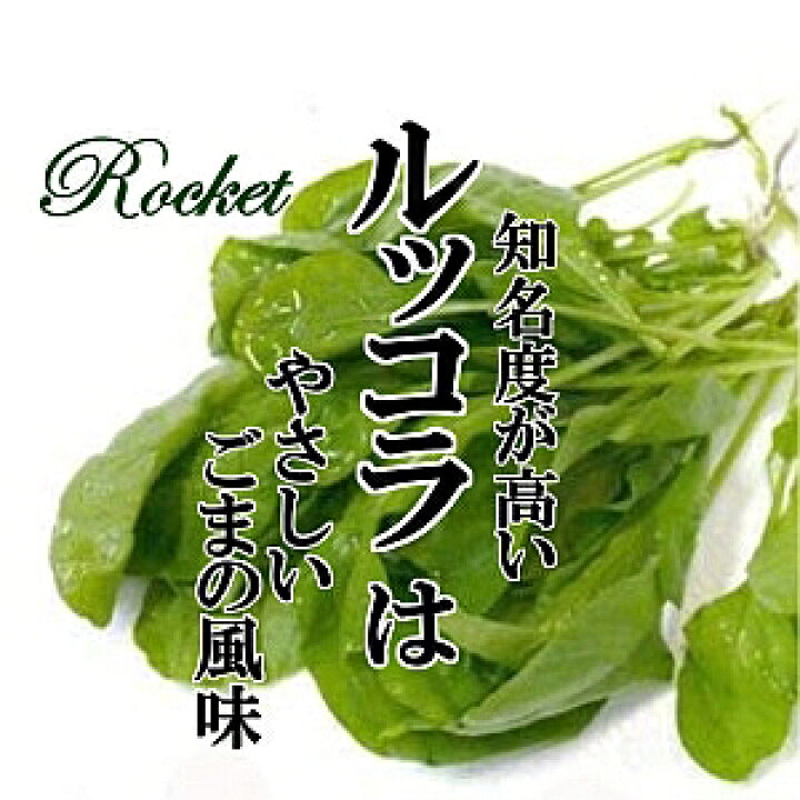 楽天市場 ルッコラ 1pac 約g ロケット 香味野菜 サラダ 新鮮野菜 珍しい野菜 野菜 やさい 珍しい 変わった野菜 おいしい インスタ映え 綺麗 彩 あしらい 飾り アクセント 料理 新鮮野菜とフルーツのお店 旬屋