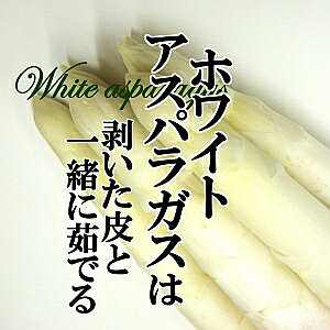 y2ׂĂ܂zzCgAXpKX 1 i3`6{ 120gj yY AXpKX  Pi   Â 炩 W[V[ t` C^Az