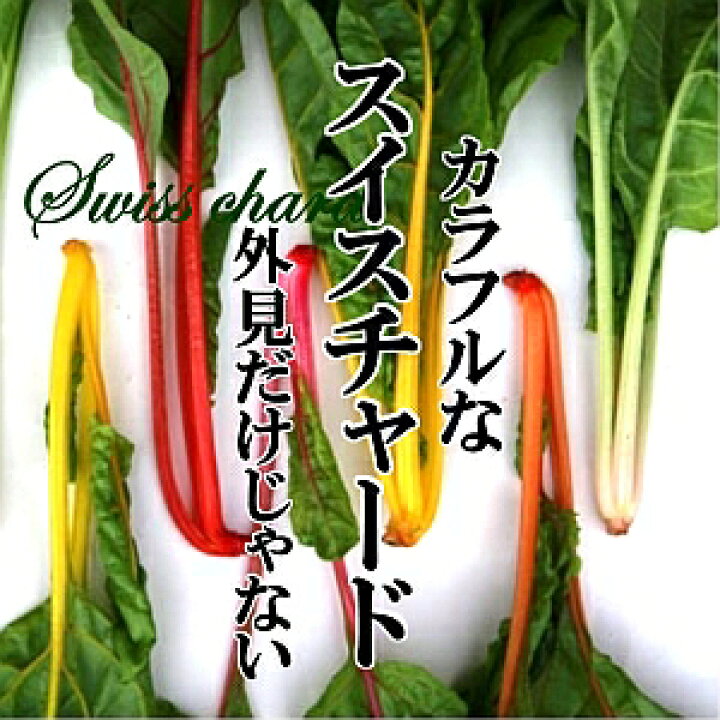 楽天市場 スイスチャード 1束 不断草 フダンソウ カラフル サラダ 鮮やか インスタ映え めずらしい野菜 新鮮野菜とフルーツのお店 旬屋