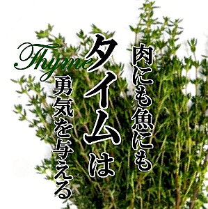 ^C 1PAC yn[u h؁@VN؁@؁@؁@₳@@ς؁@@CX^f@Y@ʁ@炢@@ANZg@z