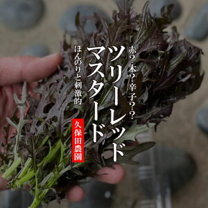 c[bh}X^[h 1PACi20gjyvۓc_@Y@؁@n[u@؁@CX^fz