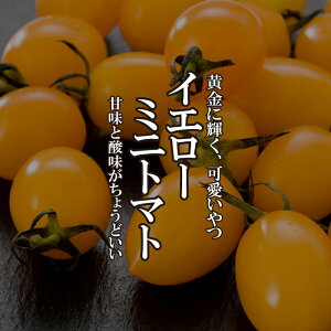 CG[~jg}g 1pbN 200g F Jt T_ CX^f ʂ