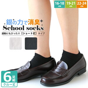 XN[ Xj[J[ V[g C 6Zbg LbY j  AGHŏL R ĂLɂIVvȃu\bNX   Ԃy16-18cm 19-21cm 22-24cmzʉ ʊw ct