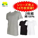 ＼まとめ買いで240円お得！！／ 2枚組 綿100％ メンズ シャツ 半袖 紳士 丸首 Tシャツ 綿100 インナー シャツ 無地 肌着 下着 トップス ホワイト グレー ブラック 白 杢グレー 黒 2枚セット アンダーウェア おすすめ 定番 天竺編み